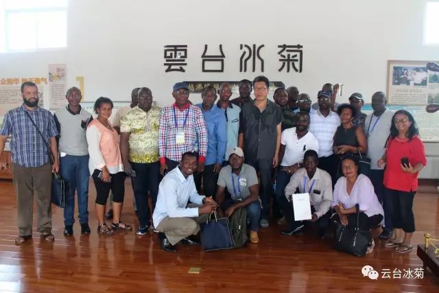 目測(cè)這朵菊花要火，國(guó)外專(zhuān)家為它頻頻而來(lái)······